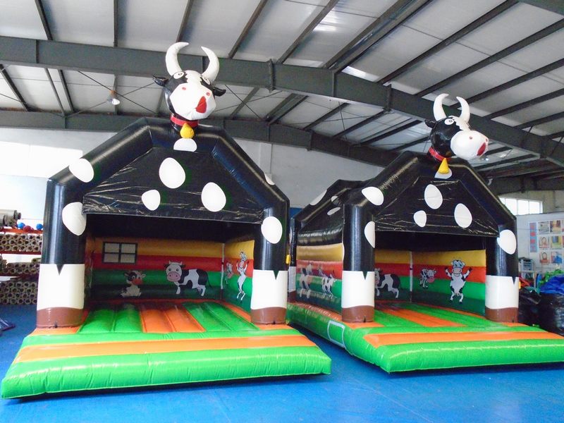 Can Adults Use a Bouncy Castle Safely?